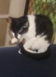 Angelica2.jpg
