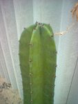 image_00018.jpg