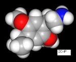 2cip-3d.JPG
