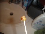 DSC00029.jpg