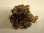 Purp1.jpg