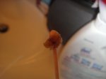 DSC00032.jpg