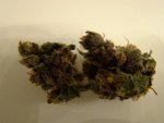 purp3.jpg