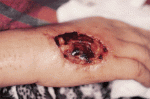 Giudice_2004_fig3.gif