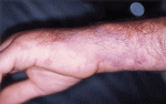 Giudice_2004_fig4.gif