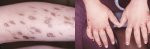 Giudice_2004_fig5&6.gif.jpg
