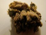 purp1.JPG