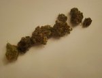 purp2.JPG