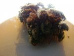 purp3.JPG