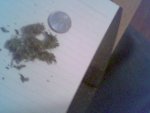 Picture 20.jpg