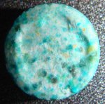 DSC007342.jpg
