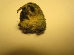 IMG_0687.jpg