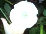 DSC02190.jpg