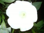 DSC02188.jpg