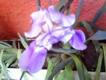 DSC02208.jpg