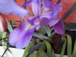 DSC02210.jpg