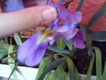 DSC02211.jpg