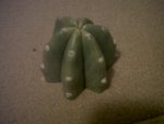 IMG00028-20100729-2019.jpg