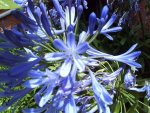 DSC02212.jpg