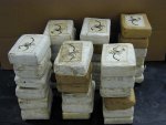 dea-cocaine1.jpg