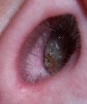 100_0190.jpg