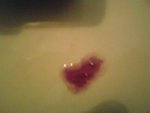 DSC00199.JPG
