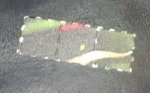 28082009124.jpg