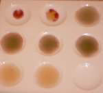 P1010020 - Copy.jpg