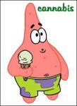 patrick.jpg