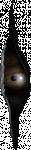 1crackpeek.gif