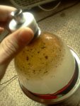IMG_20110127_105920.jpg