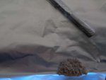 17062011127.jpg