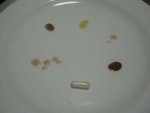 pillrep.jpg