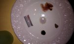 IMAG0023.jpg