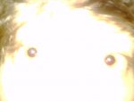 IMG00121-20110202-0018.jpg