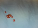 Photo 54.jpg