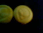 0904101657-00.jpg