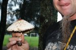 SHROOMS-066.jpg