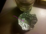 IMG_20110506_012839.jpg