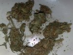 18052010420.jpg