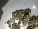 18052010423.jpg