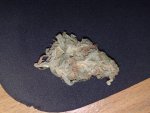 18052010426.jpg