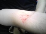 Snapshot_20110215.JPG