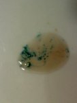 20110219173231.jpg
