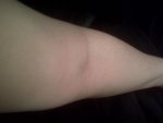 IMG01143-20110511-0022.jpg
