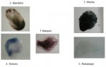 Test 1 COMPLETO.jpg