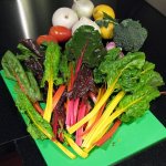 Rainbow-Chard.jpg