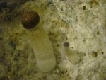 IMG_0005[2].jpg