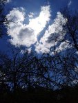 D46D4724-01AA-4895-8ED2-5CDF59E908CE.jpeg