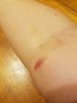 20190407_221333_compress_54.jpg